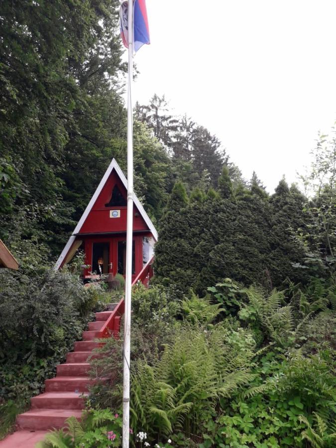 Ferienhaus Sommerland Auszeithuette Freyung Buitenkant foto