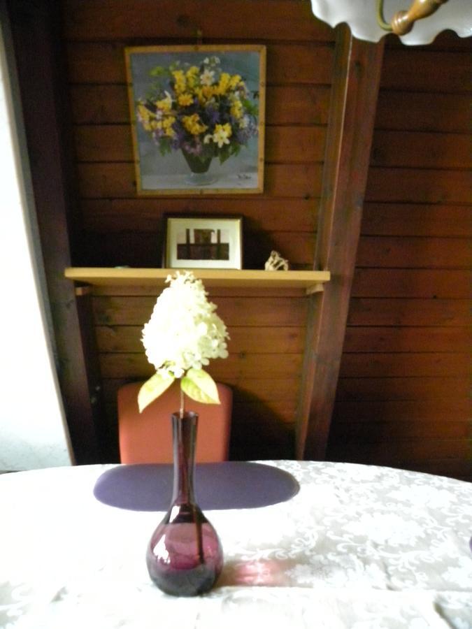 Ferienhaus Sommerland Auszeithuette Freyung Buitenkant foto